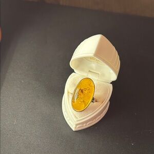 Baltic Amber Sterling Silver Handmade Ring with Large Bug in center.